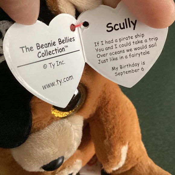 TY Beanie Bellies Scully The Pirate Bear (6”) - Picture 6 of 7